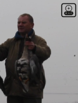 Hunting Action Channel